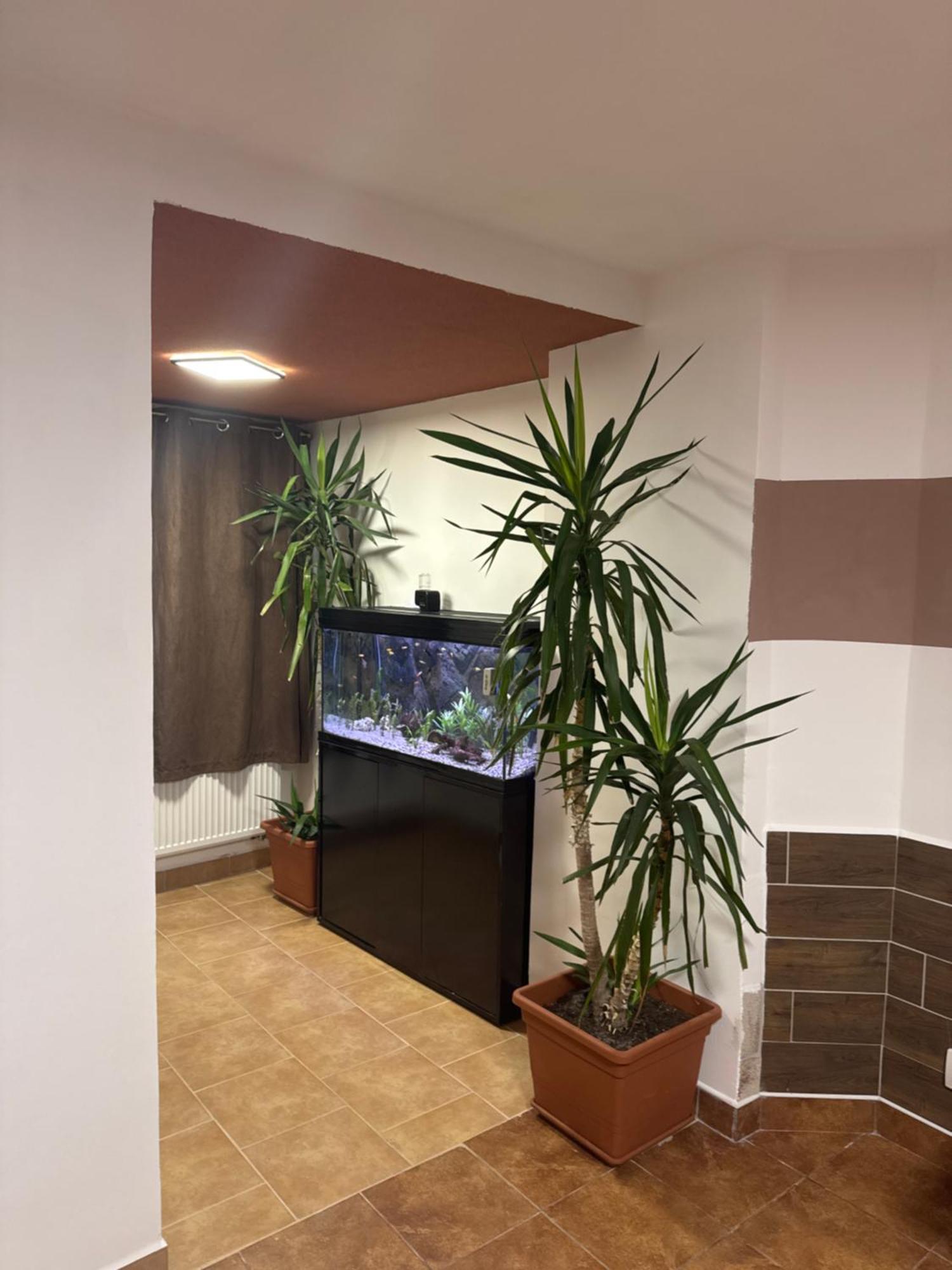 Abc Apartment Unhost Luaran gambar